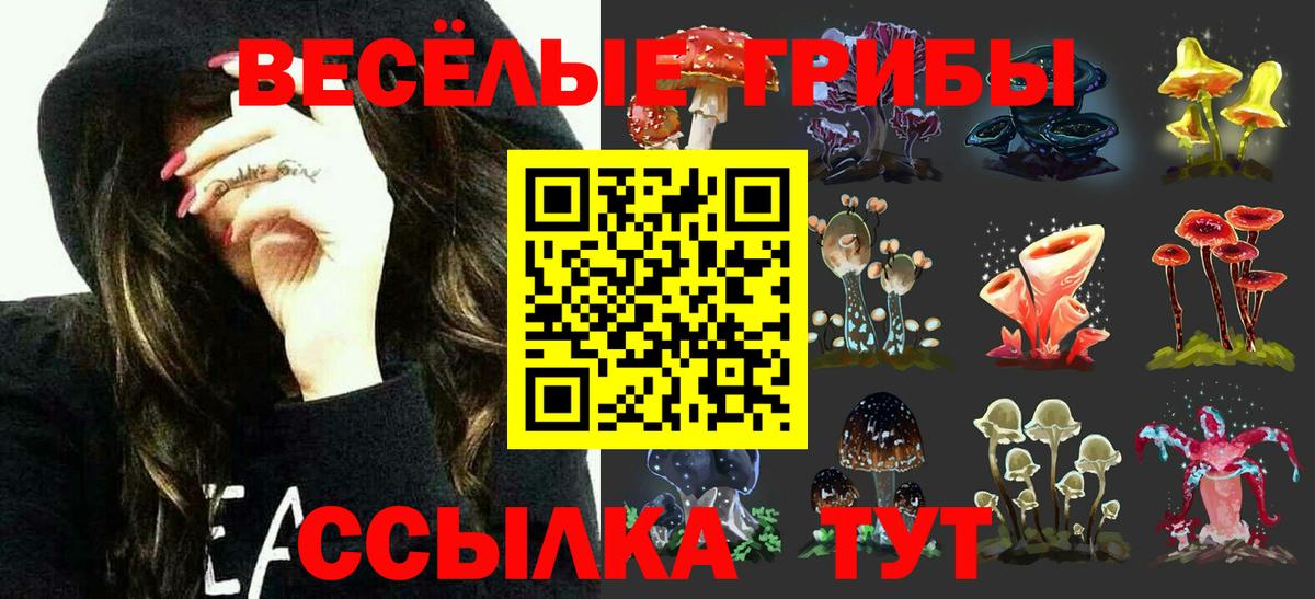 Псилоцибиновые грибы Magic Shrooms  Галлюциногенные грибы Magic Shrooms  Вход с VPN  Таганрог 